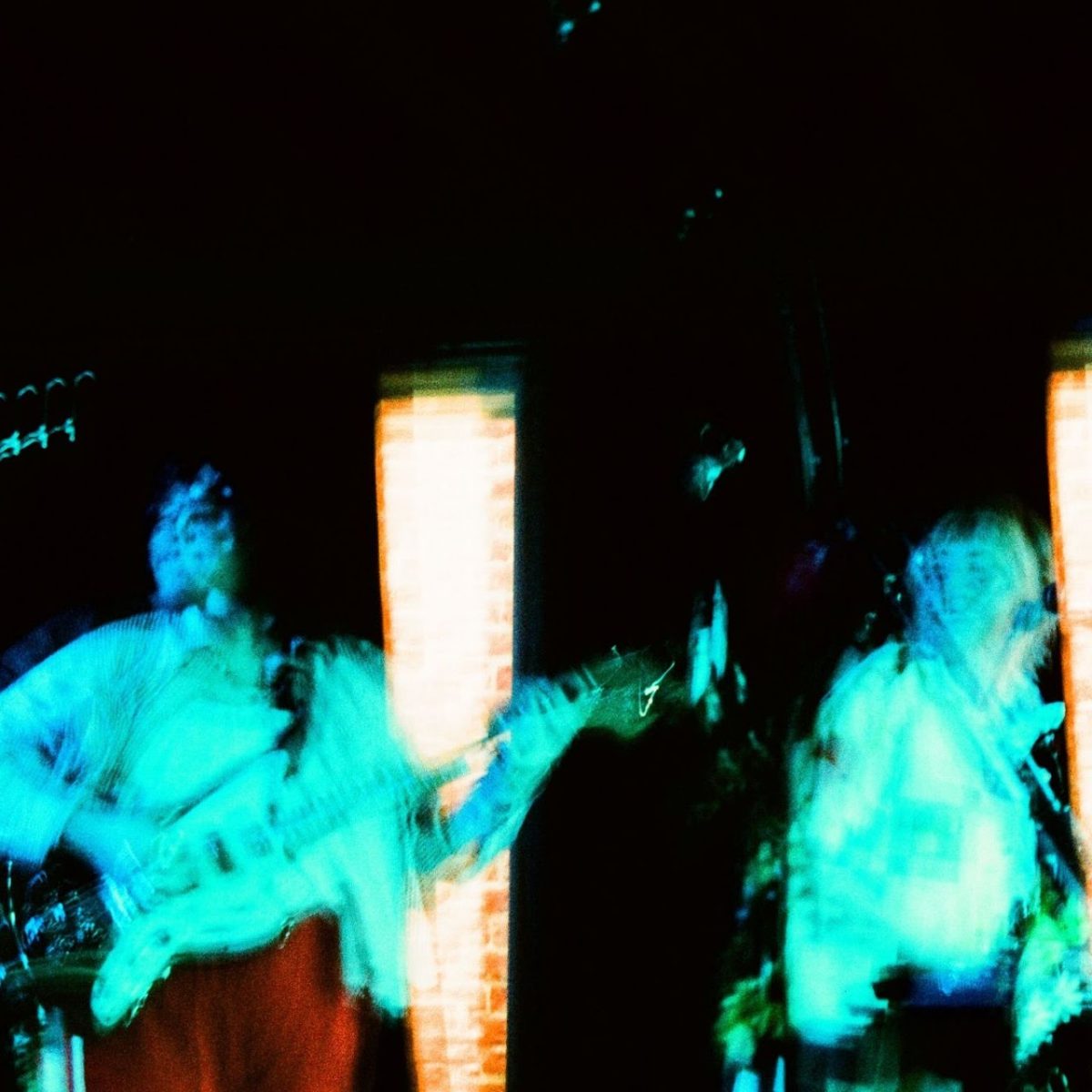 The Apricots (Portland, OR) Grace the Stage at Treefort Music Festival