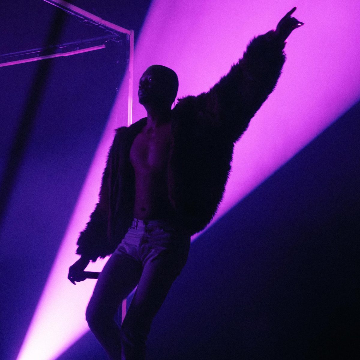 Danny Brown at the Complex Nov. 21